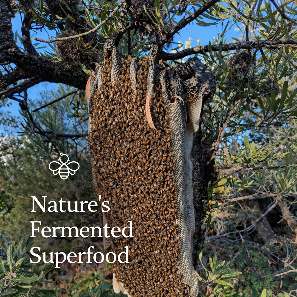 Australian Bee Bread Infused with Organic Cinnamon | 450g